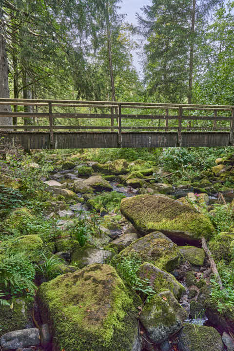 Gemeinde Waldkirchen Landkreis Freyung-Grafenau Saußbachklamm (Dirschl Johann) Deutschland FRG